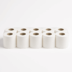 10 גלילי נייר פרימיום דו שכבתי 10 גלילי נייר פרימיום דו שכבתי